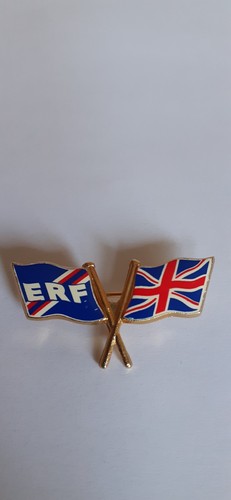Twin flag lapel pin - twin, badge