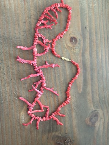 Mediterranean red coral - mediterranean,