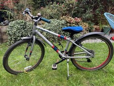 Raleigh Pop 24 Kids Bike