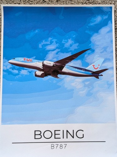 Tui boeing 787 dreamliner - boeing,