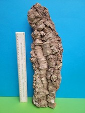 CORK BARK FLATS BASKING