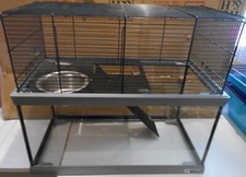 Cage/Gerbilarium/Gerbil/Hamster/Mouse/Small Animal/Ferplast/Gabry 50/Croydon/