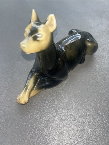 Doberman pinscher royal - doberman,