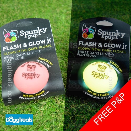 Glow the dark dog toy - dark,