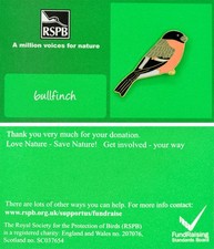 RSPB Pin Badge AMVfN Bullfinch (2011 Release) P00096