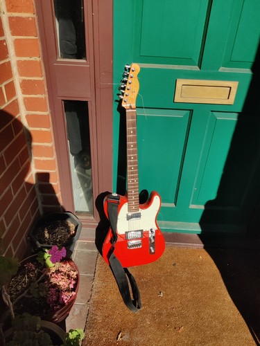 Fender standard player - fender, /
