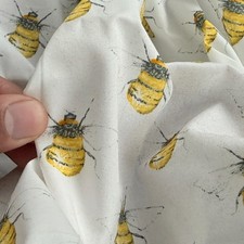 27m bee print - rose, hubble