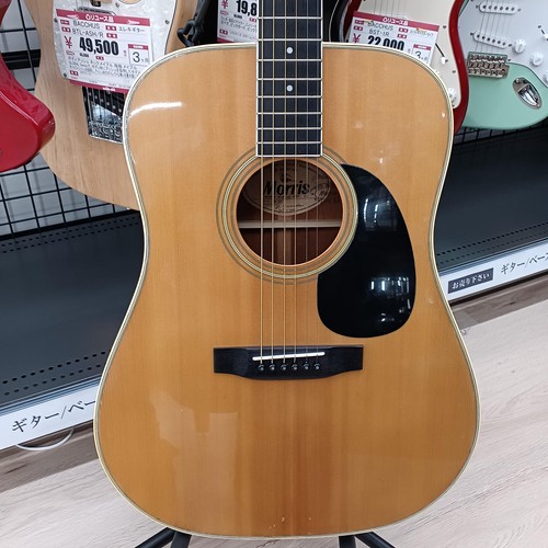 Morris acoustic guitar 25 - guitar, w-25