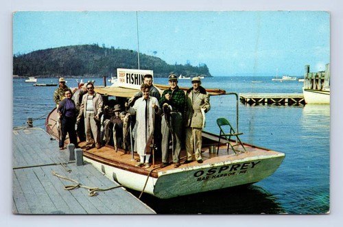 Osprey deep sea fishing - sea, boat