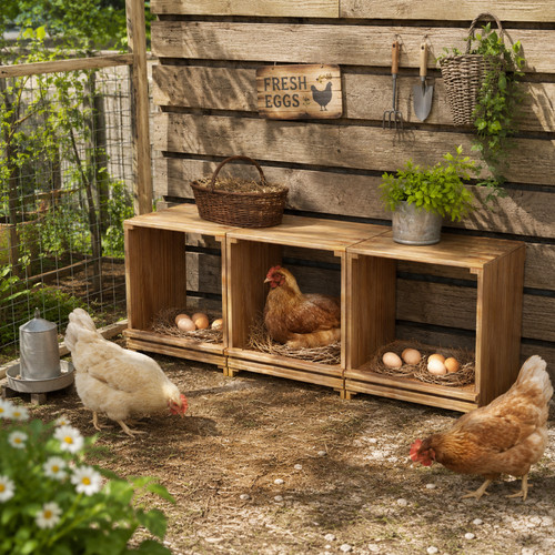 Nesting boxes for chickens - nesting, 3