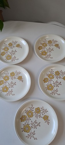 Vintage biltons ceramic - vintage,