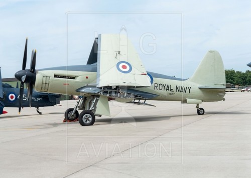 Westland wyvern royal - westland,