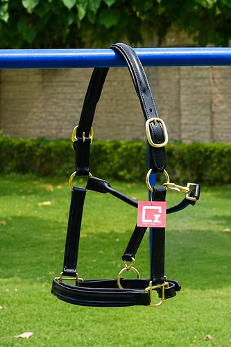Leather head collar fully - head,