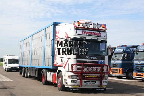 Truck photo scania cattle - photo,