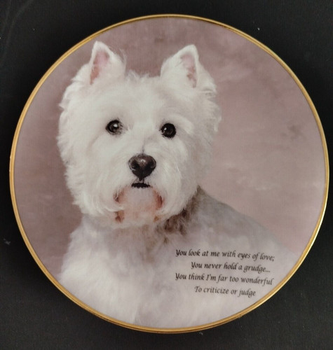 Eyes love poetry westie - eyes,