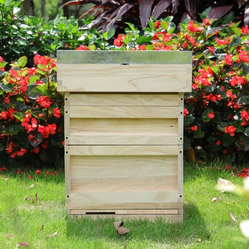 Frame bee hive kit beeswax - bee,