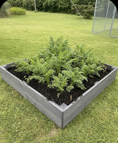 Wooden raised bed vegetable - wooden,