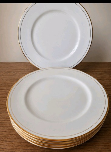 Dinner plates white - 6x,
