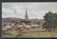 Surrey Postcard - View of