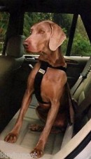 Large Dog Car Seat Belt Harness