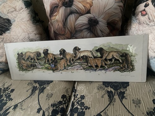 Stunning ltd edition print - a,