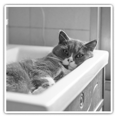 Square stickers cm - 2,