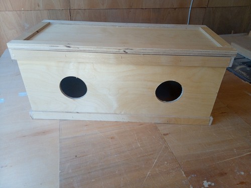 Twin rabbit guinea pig show - twin,