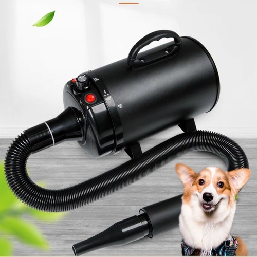 Dog hair dryer blaster - dog,