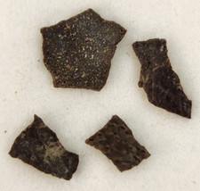 Hadrosaur Egg Shell Fossils