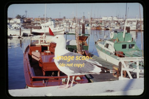 Deep sea saltwater fishing - sea,