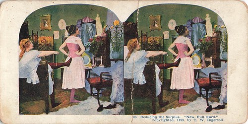 Stereoscopic view card - stereoscopic,