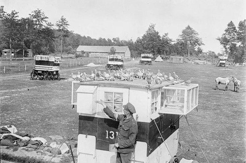 Mobile carrier pigeon station - mobile,