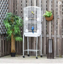 Extra large bird for budgie - large,