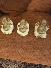 Wise buddhas - wise,