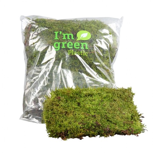 Flat moss bag ideal - moss, for