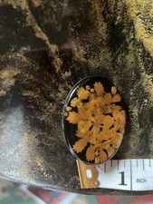 Resin Vintage Brooch Beautiful Colour Small 2 Inches X 1 Inch