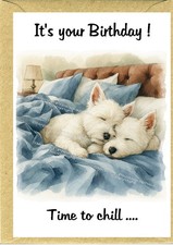 West highland white terrier - highland, /