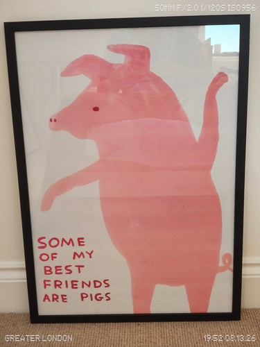 David shrigley some - "some, of
