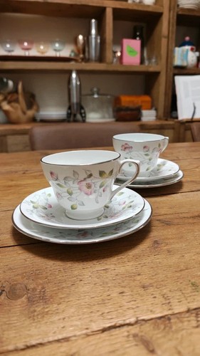Set vintage delphine bone - of,