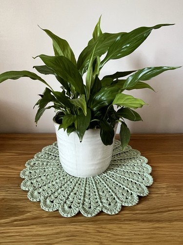 New sage green centrepiece mat - sage,