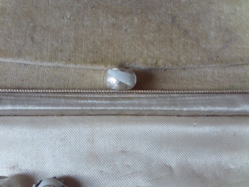 Rhona sutton 925 - silver, clear