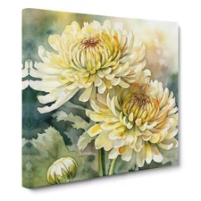 Chrysanthemum No.2 Canvas Wall