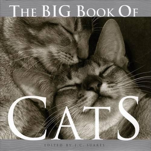 The big book - book, (big