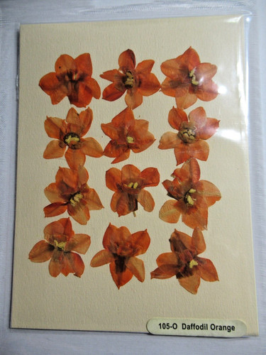 Real pressed flowers card - flowers,