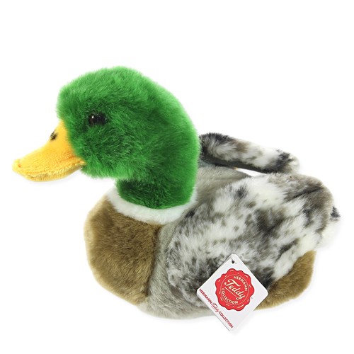 Teddy hermann mallard male - teddy,