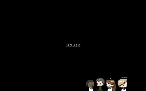 Show house 40730 - tv,