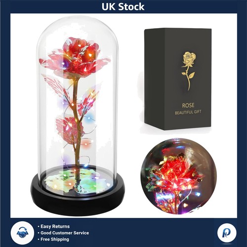 Eternal rainbow rose flower - eternal,