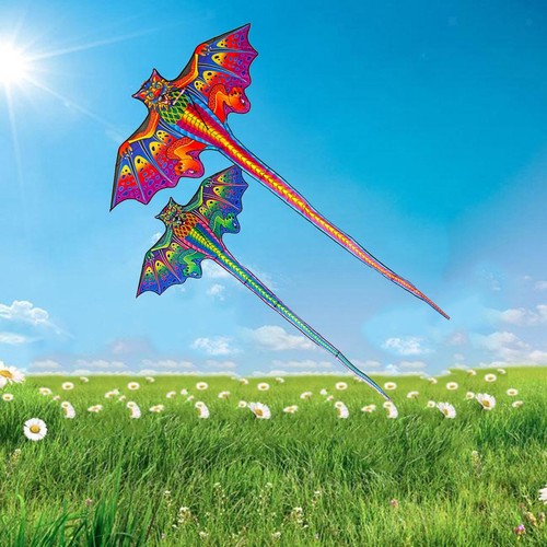 Dragon kite animal - kite, to