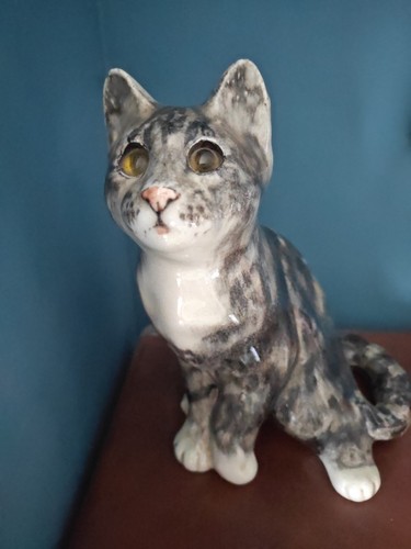 Winstanley tabby white cat - tabby,