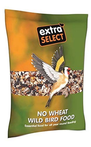 Wheat wild bird food - bird,